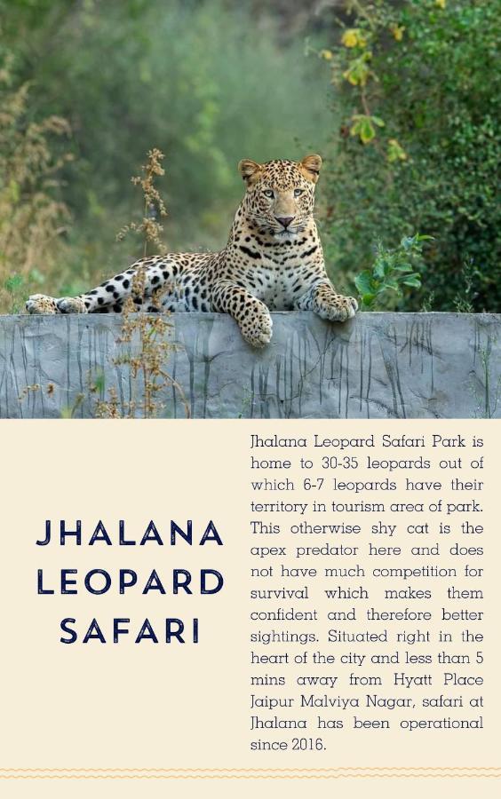 Hyatt Place Jaipur Malviya Nagar Exterior foto Jhalana Leopard
